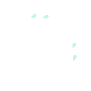 Maître SANSON, titulaire du brevet de pilote professionnel CPL(A)